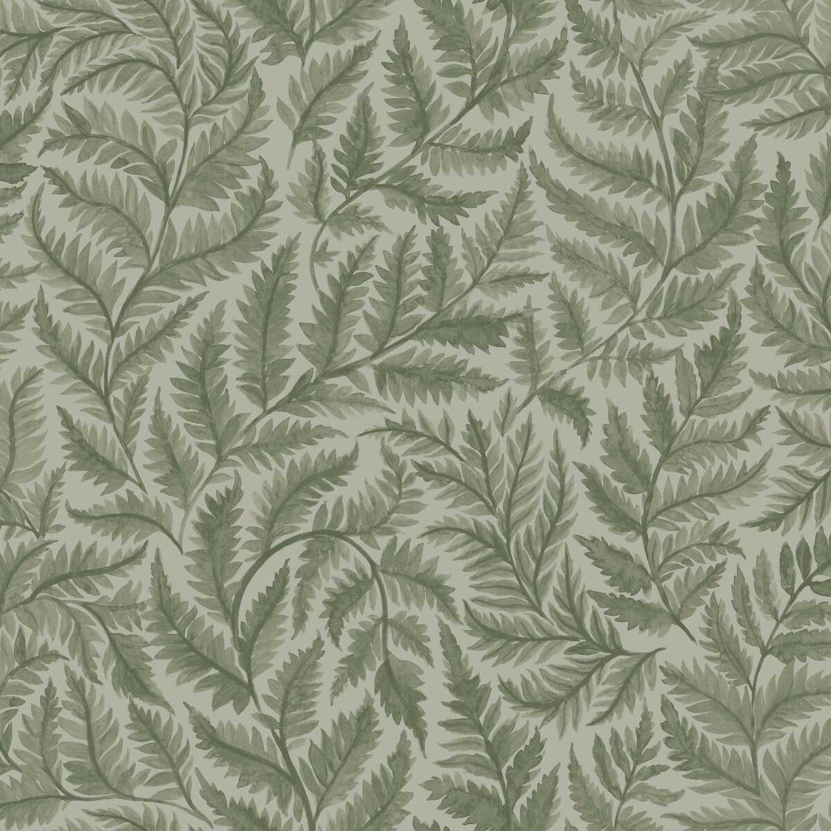 Ferns 7792