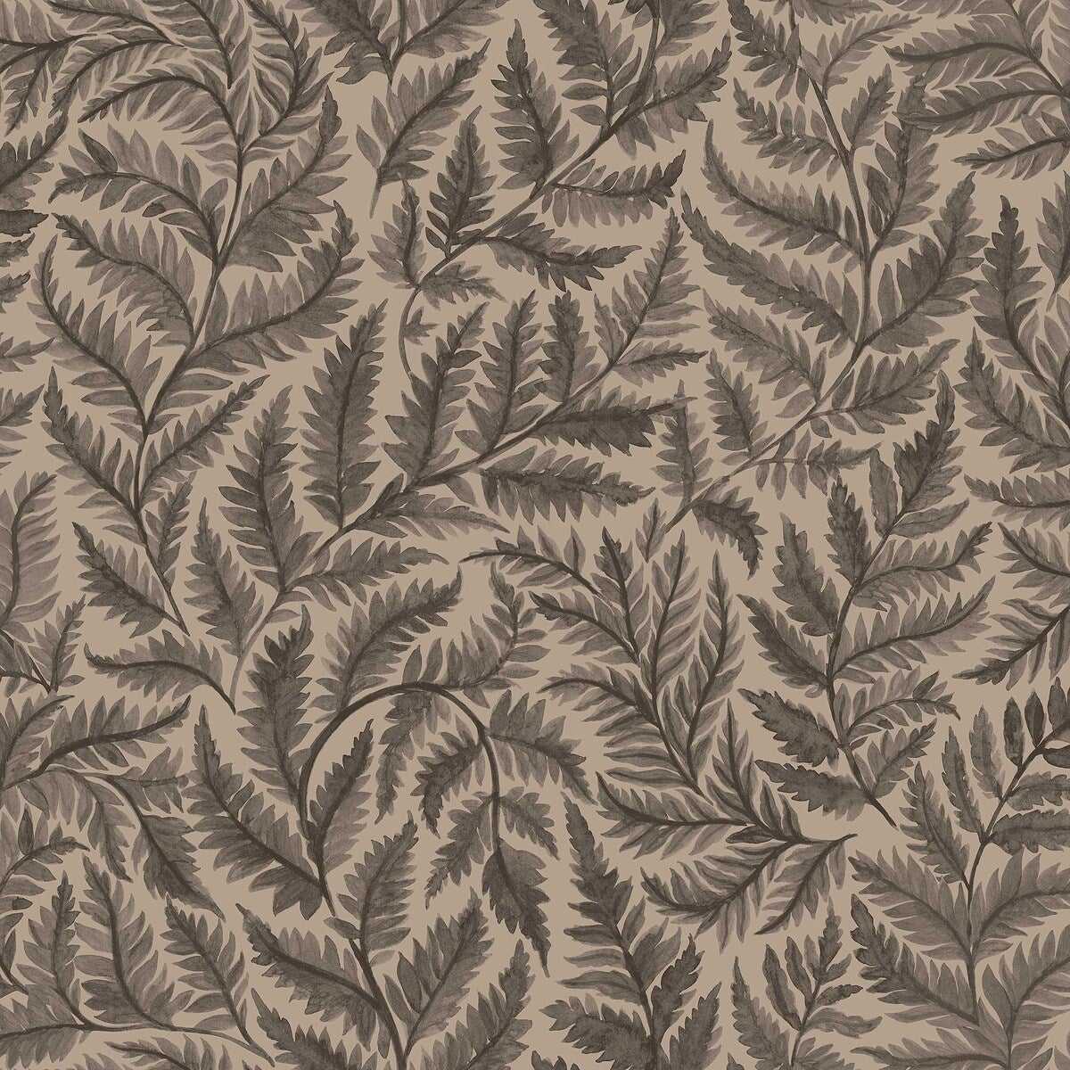 Ferns 7793