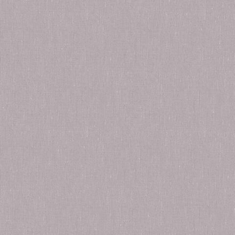 Lavender Blush 4434