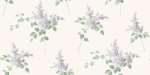Lilacs 7668