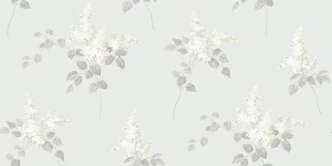 Lilacs 7669