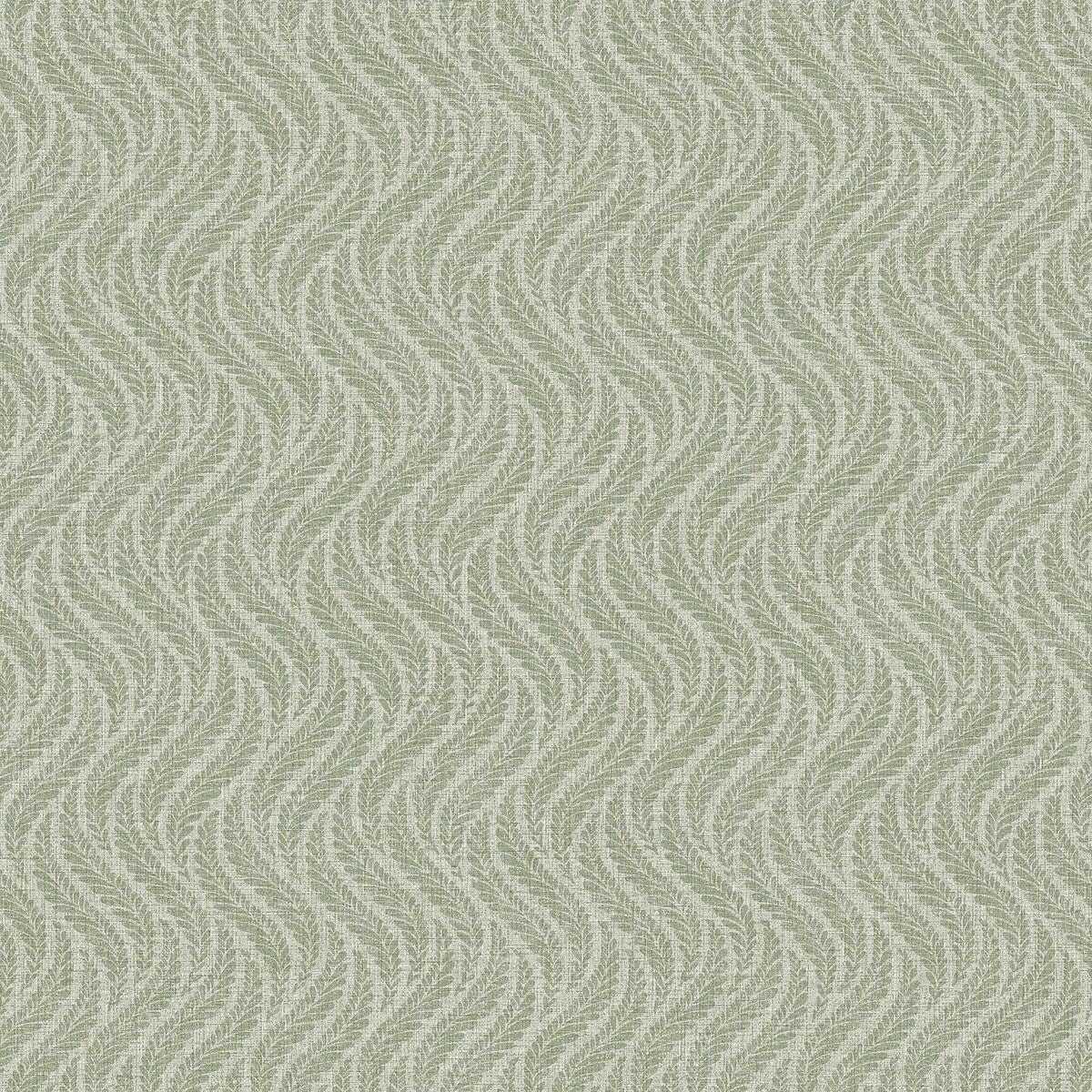 Little Fern 7772