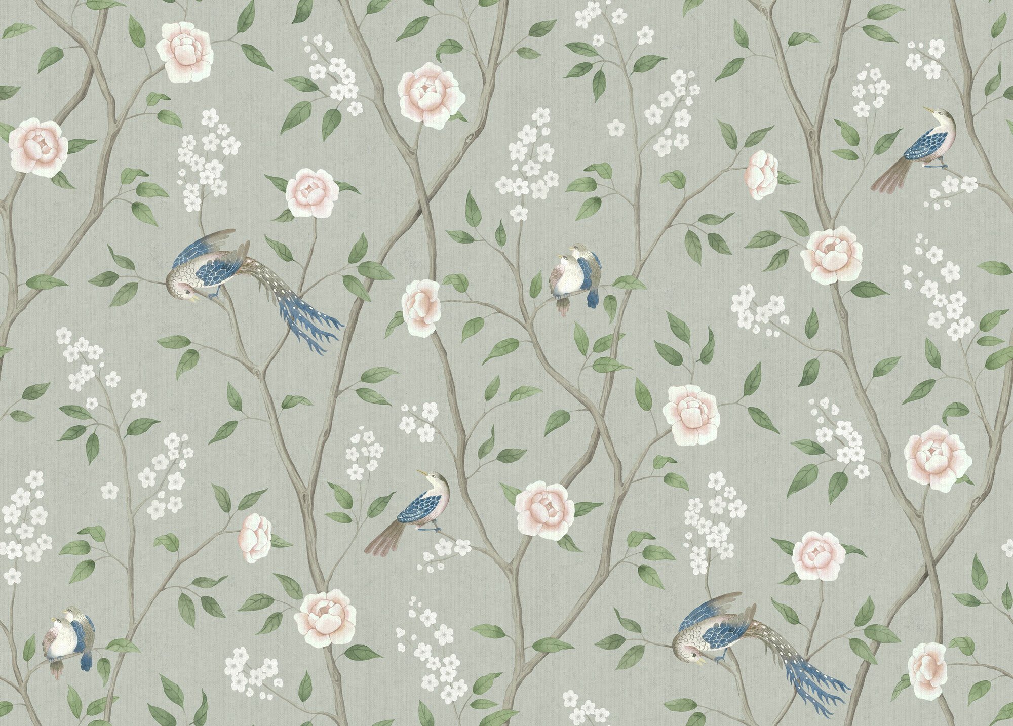 Paradise Birds 1903