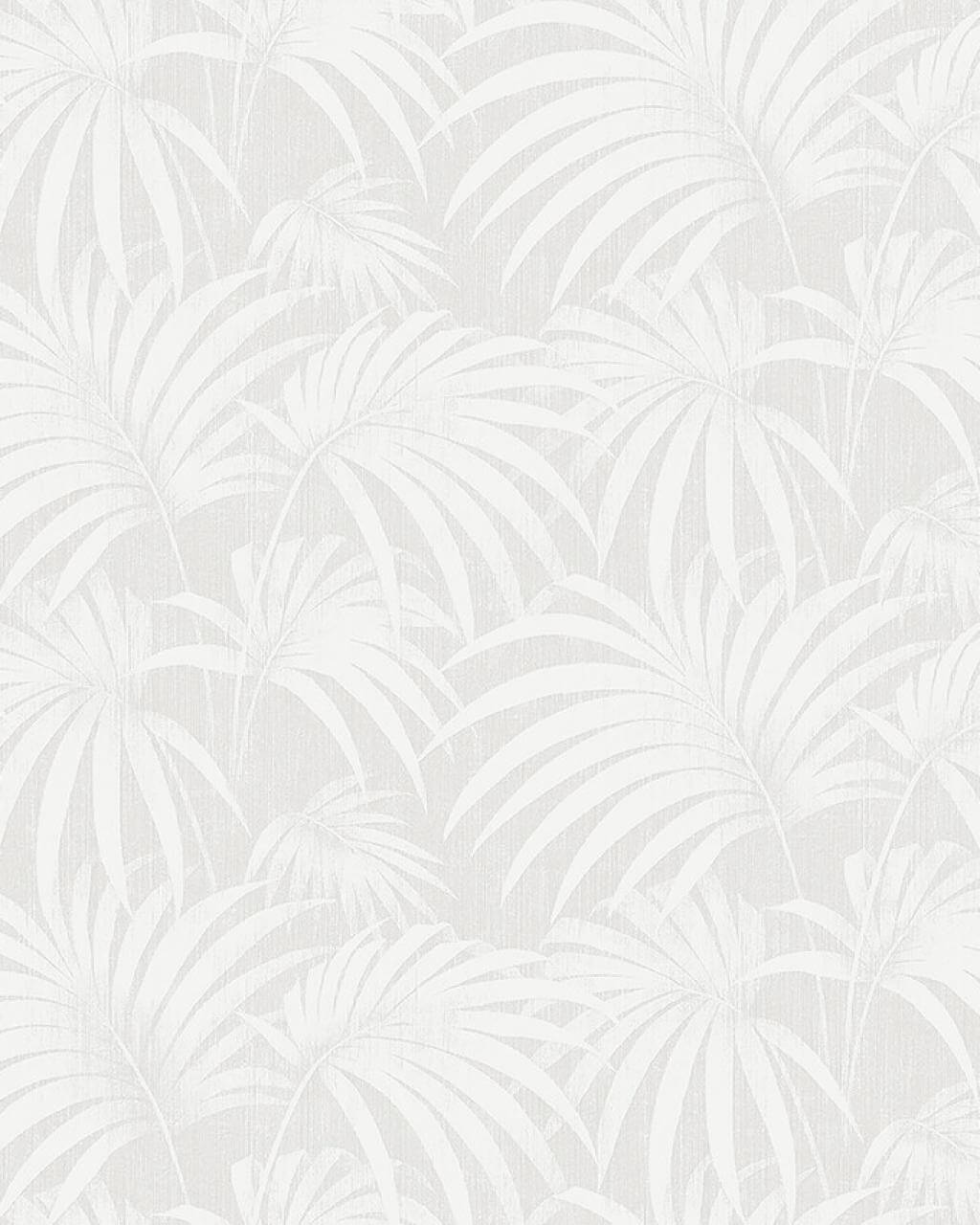 Paula 38768