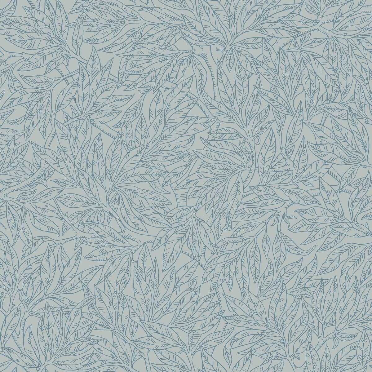 Salix Alba 7788