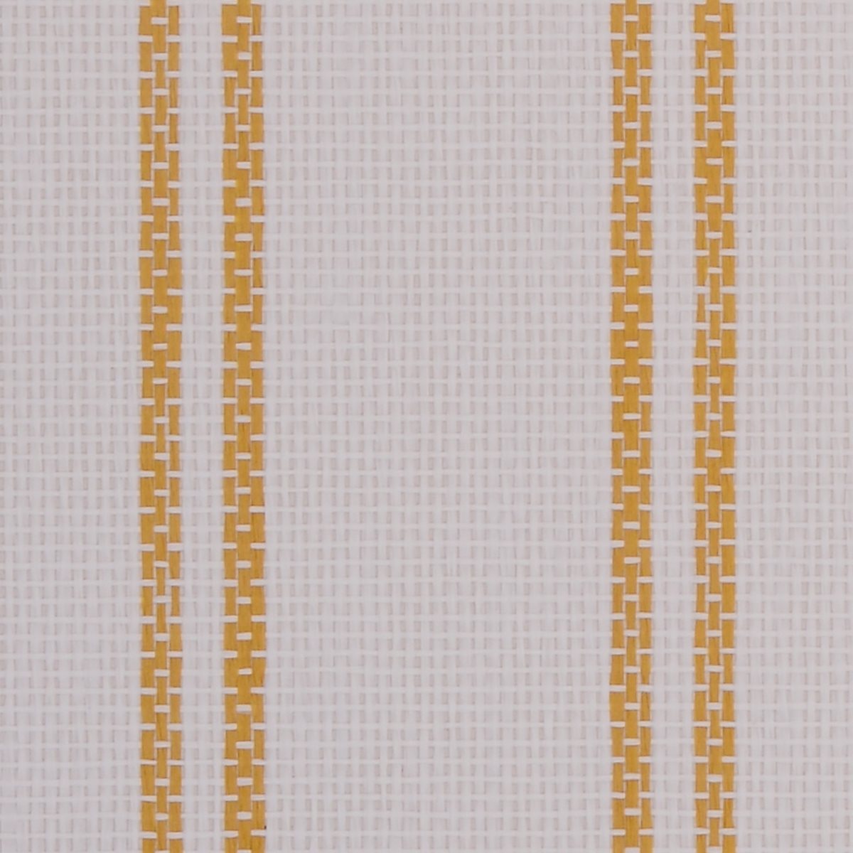 Borderline Parakeet Yellow 1331