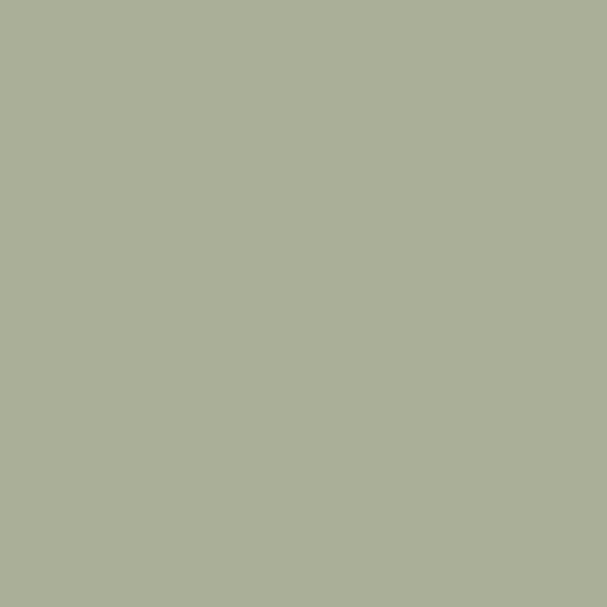 Boringdon Green No 295