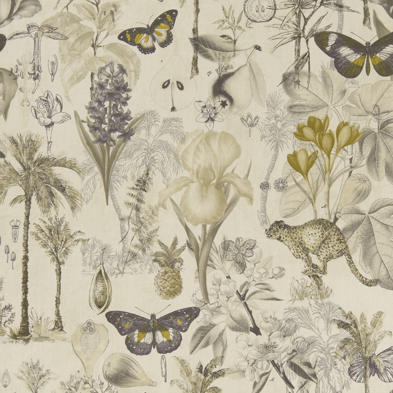 Botany F1297-01
