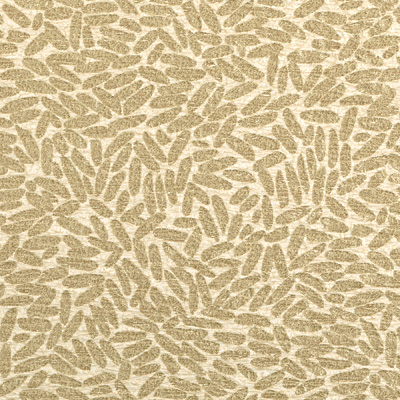 Bottego W1014-03