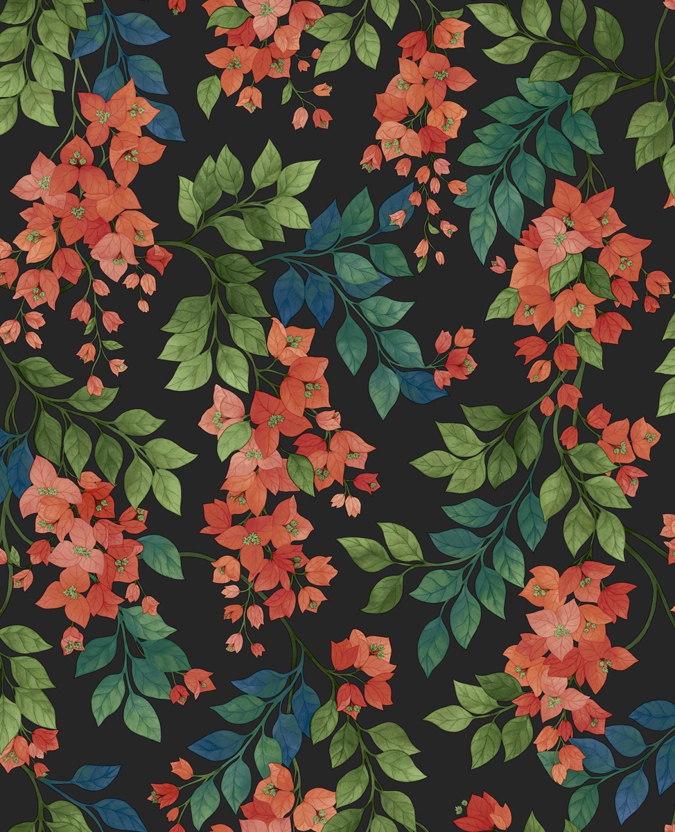 Bougainvillea 117-6017