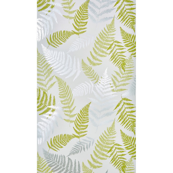 Bracken 1663-601