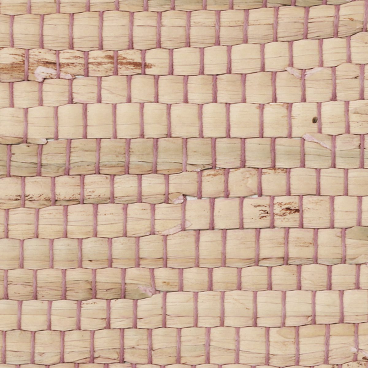 Braided Walls Azalea 3147