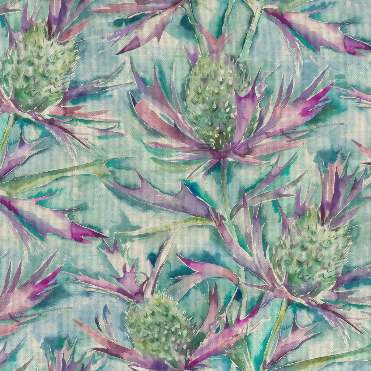 Braithwaite Teal