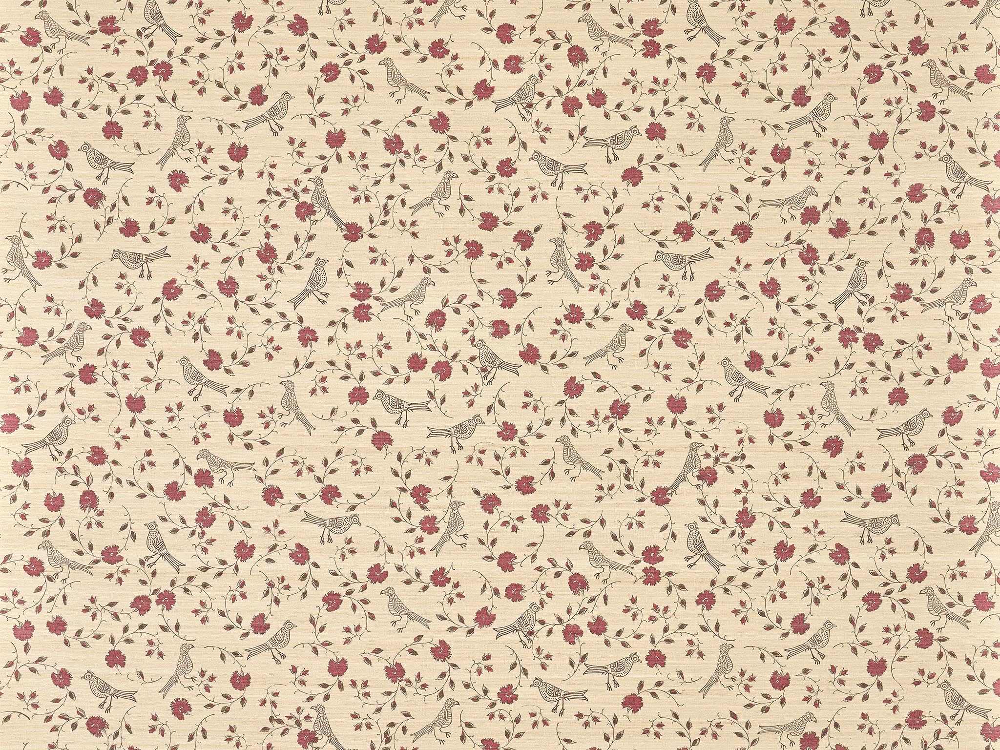 Bengali Albertine BP347001