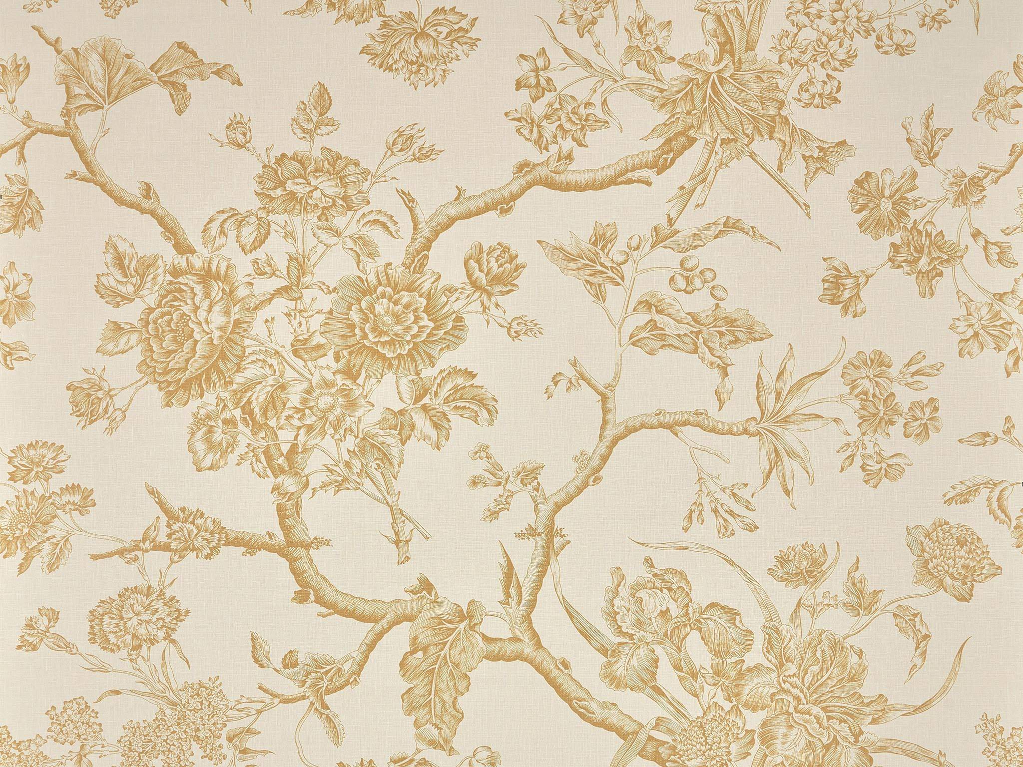 Chantonnay BP370001
