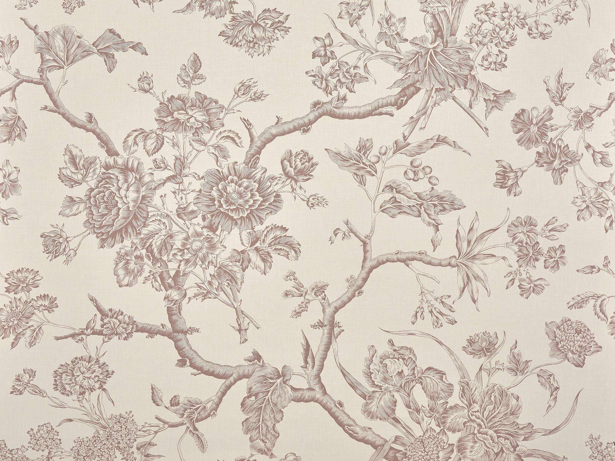 Chantonnay BP370002