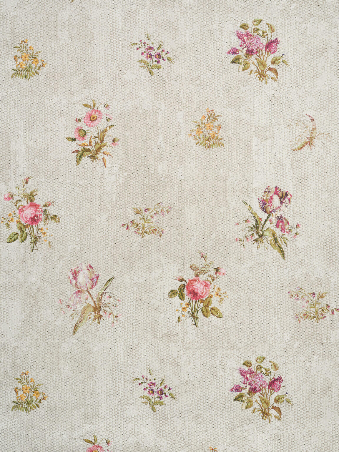 Fleurs Anciennes BP340001