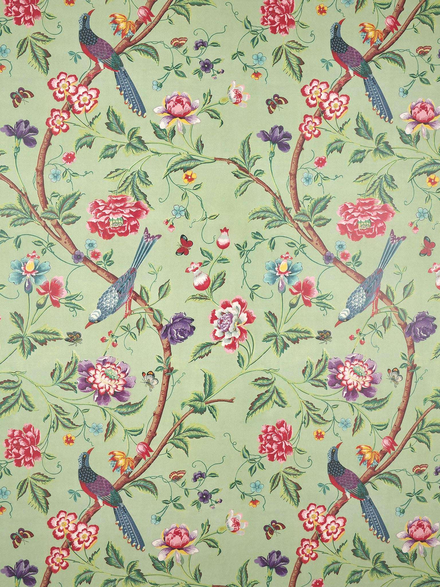 Jardin De Bagatelle BP380002