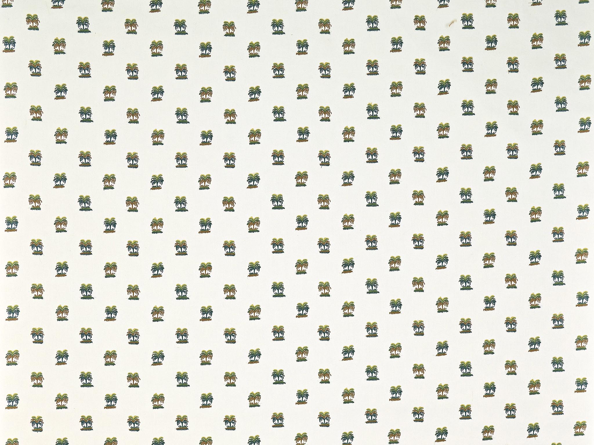 Les Palmiers De Comoglio BP359001