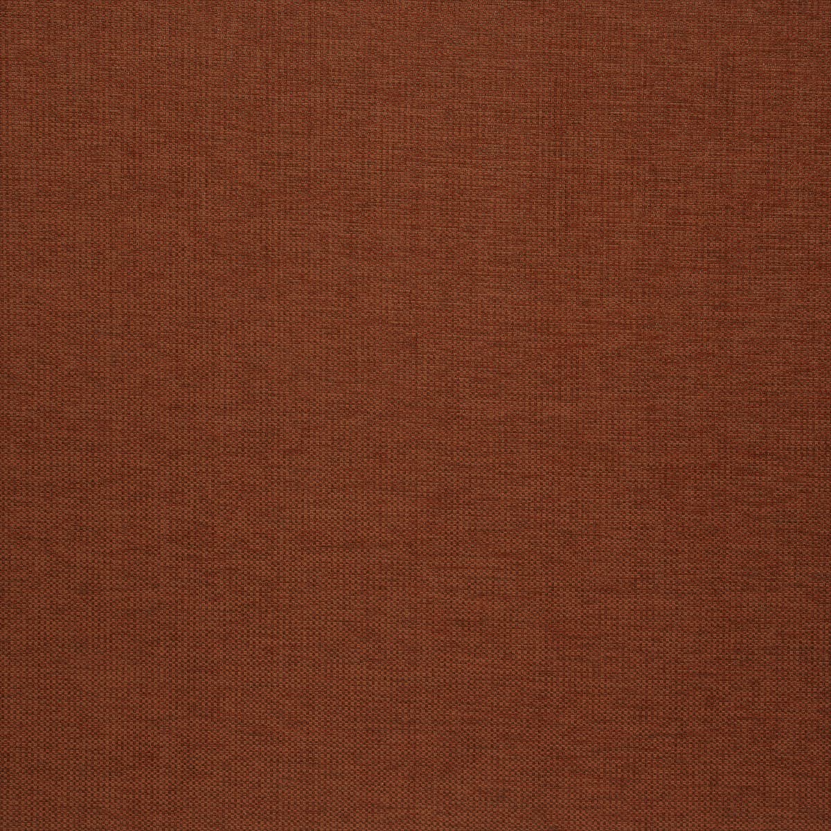 Brecon Cinnamon