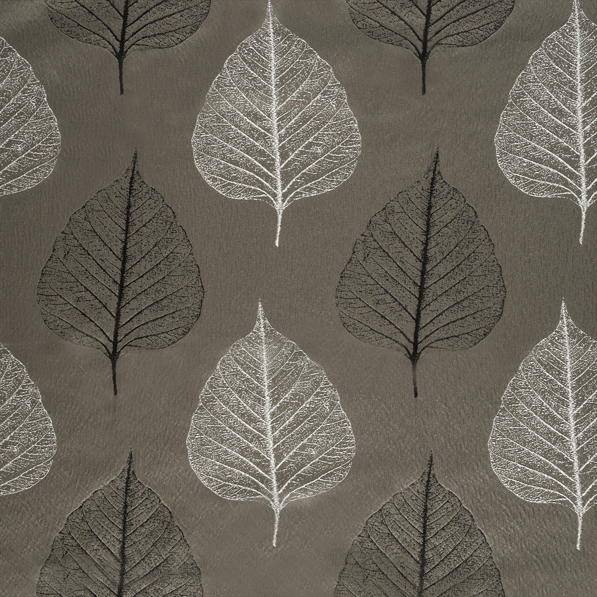 Brice Slate