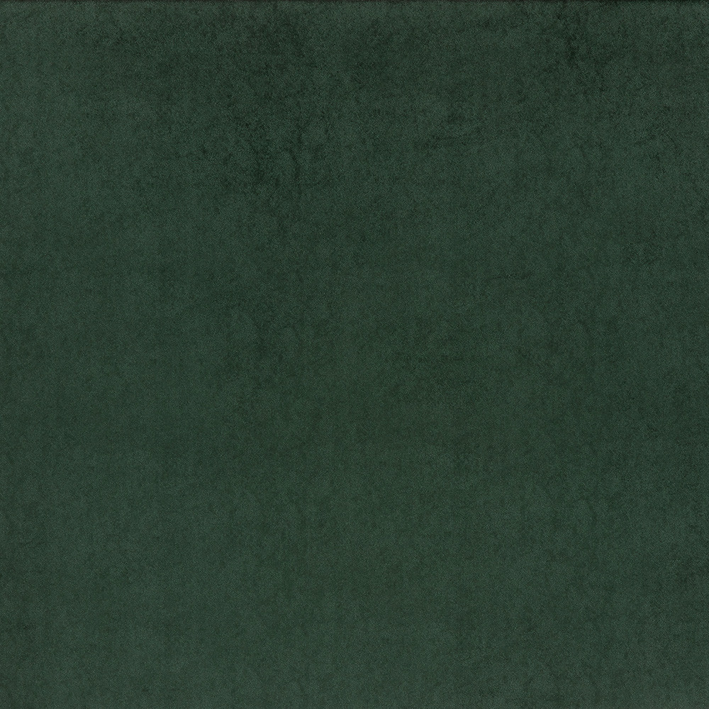 Brightwell Evergreen