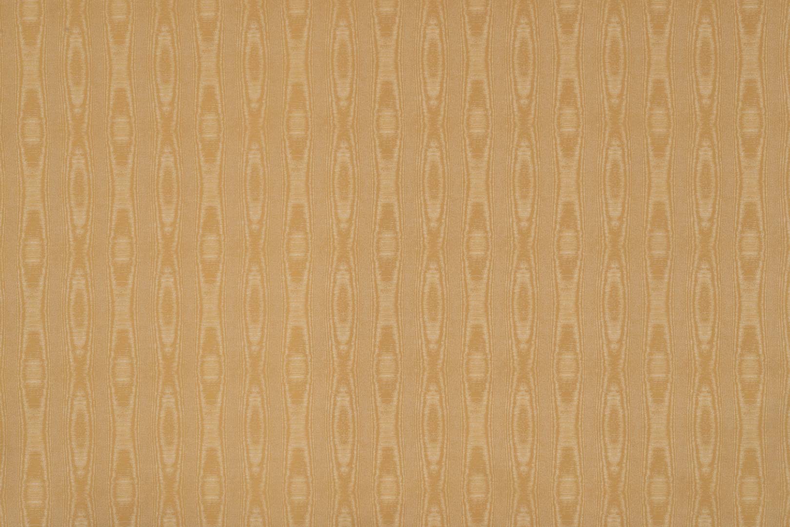 Cortex TA001182