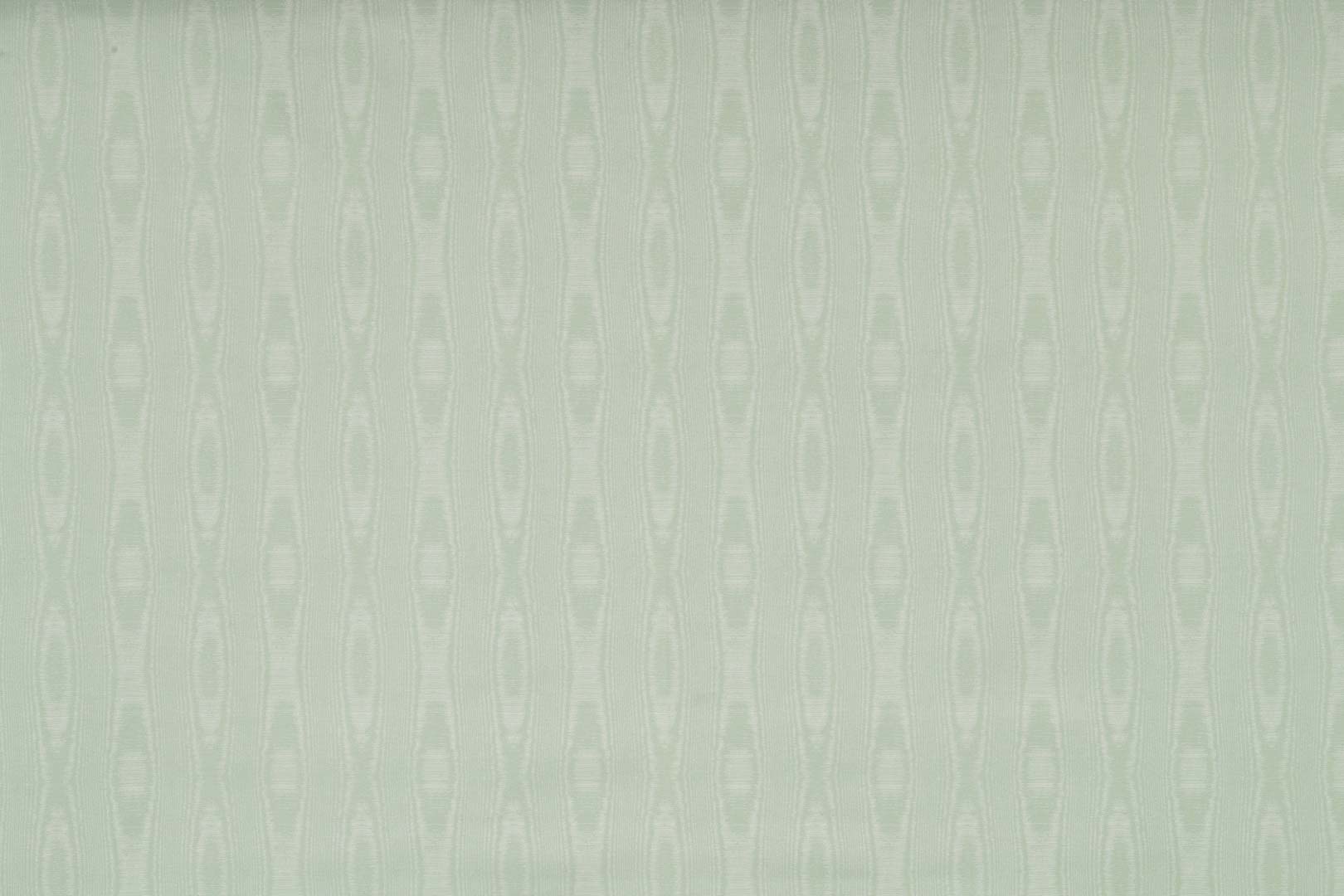 Cortex TA001184