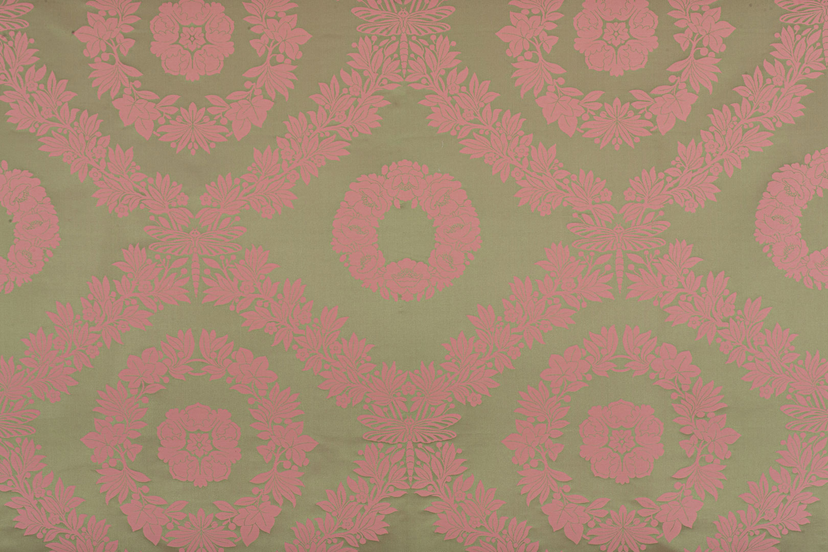 Dragonfly TA001382