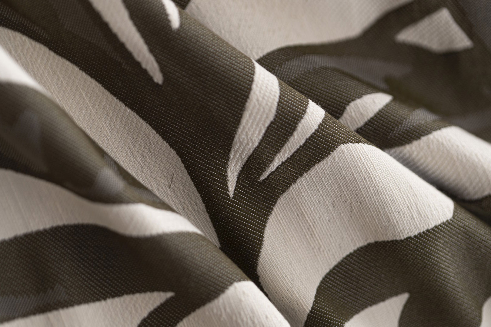 Foliage TA001341