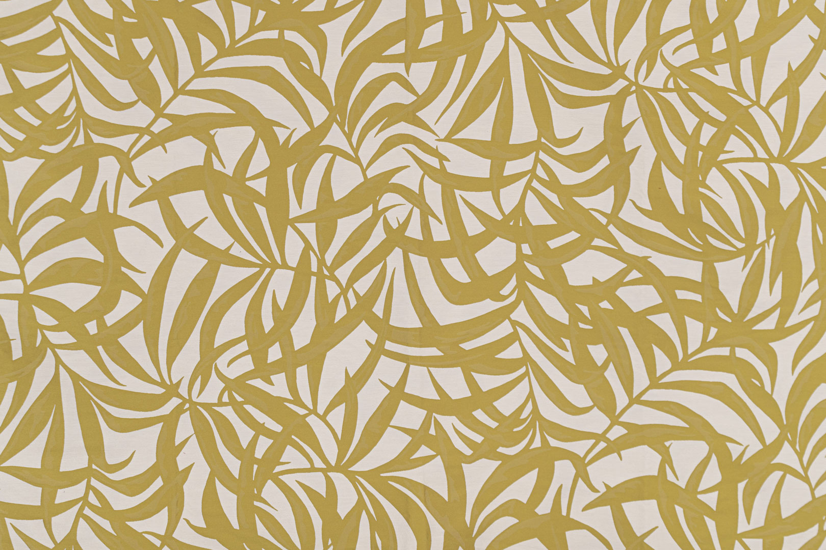 Foliage TA001339
