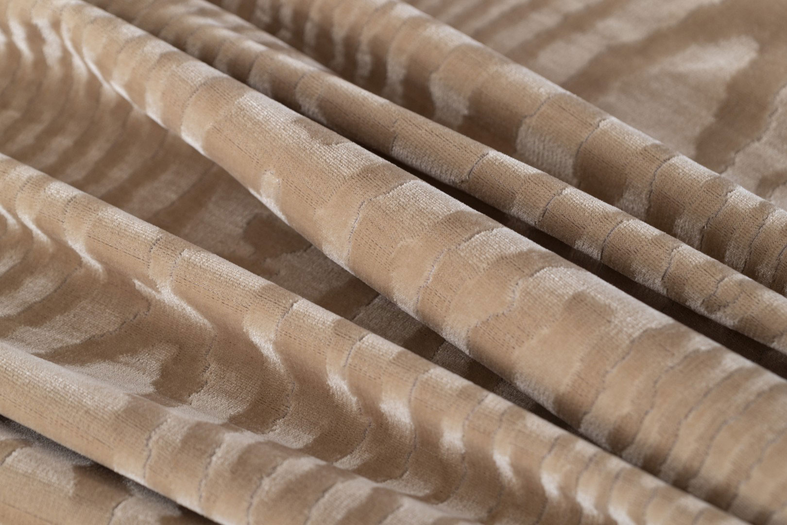 Wood TA001369
