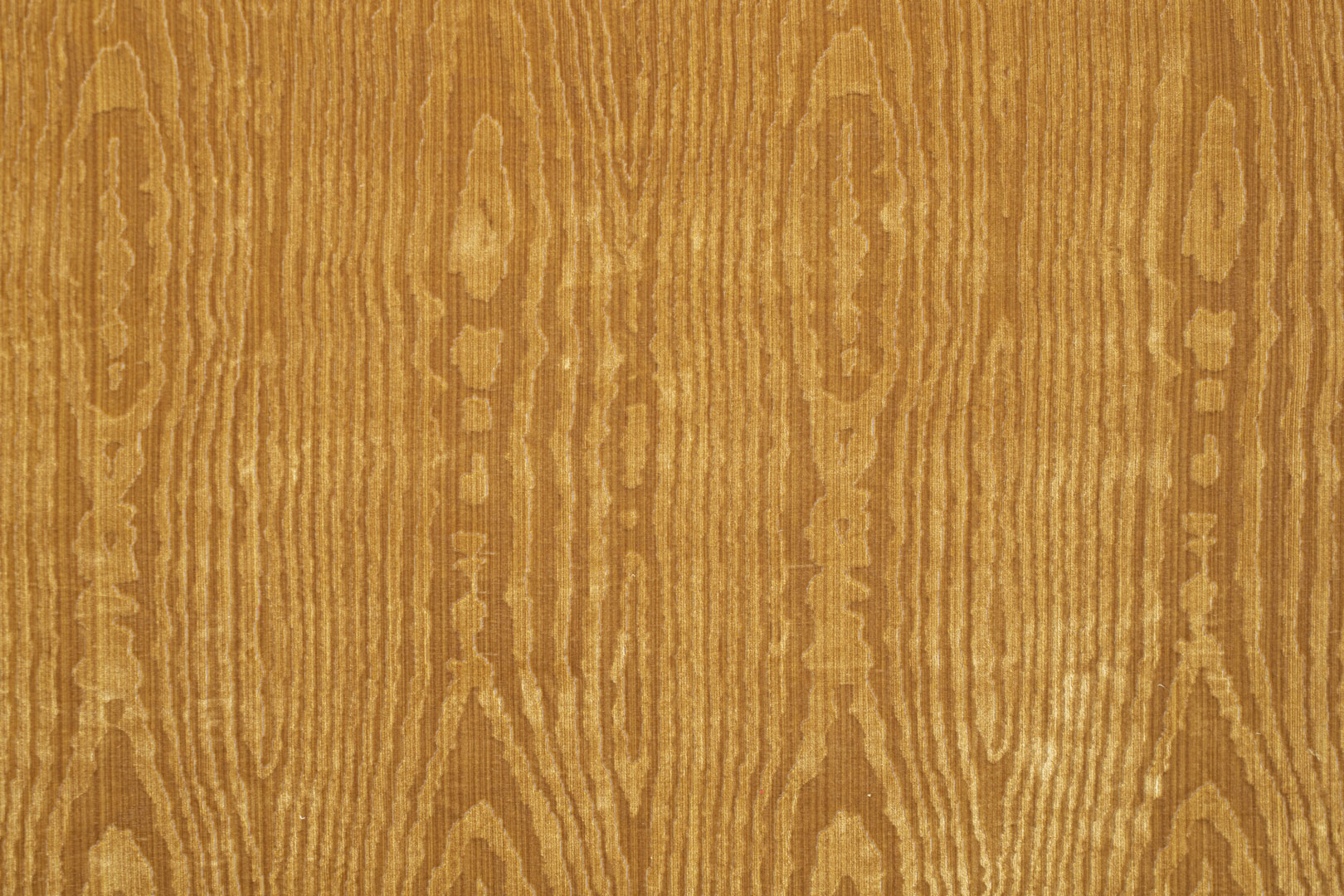 Wood TA001372