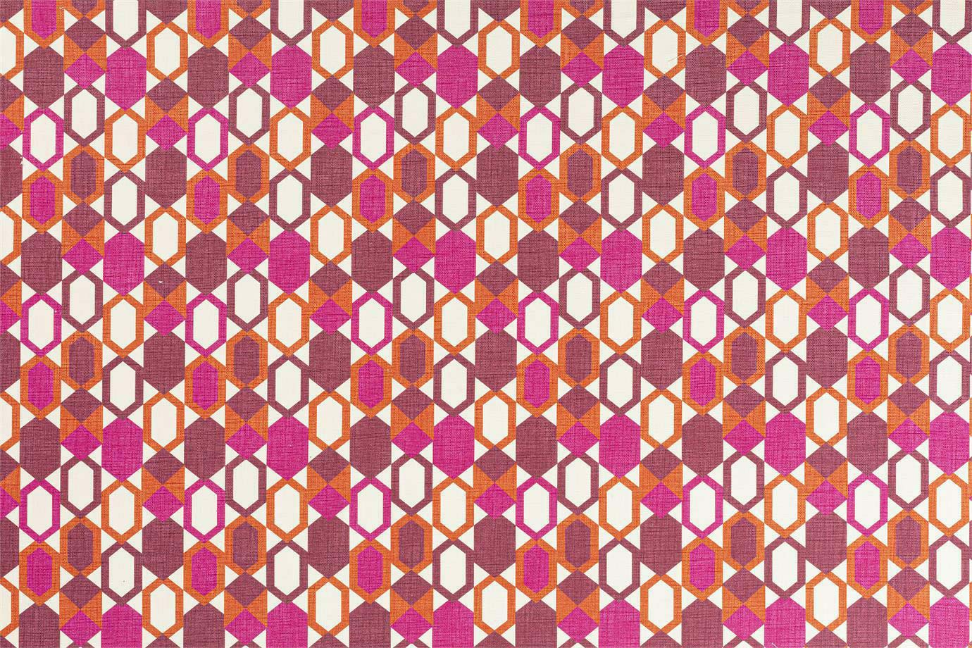 Zanus Fucsia