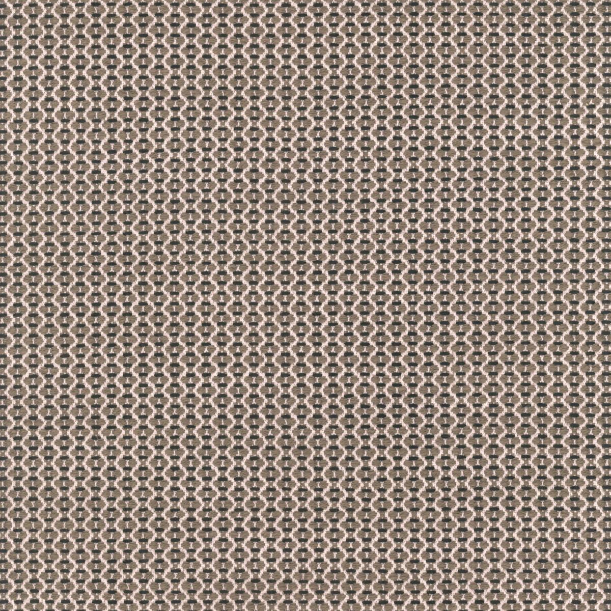 Broderie 17276-005