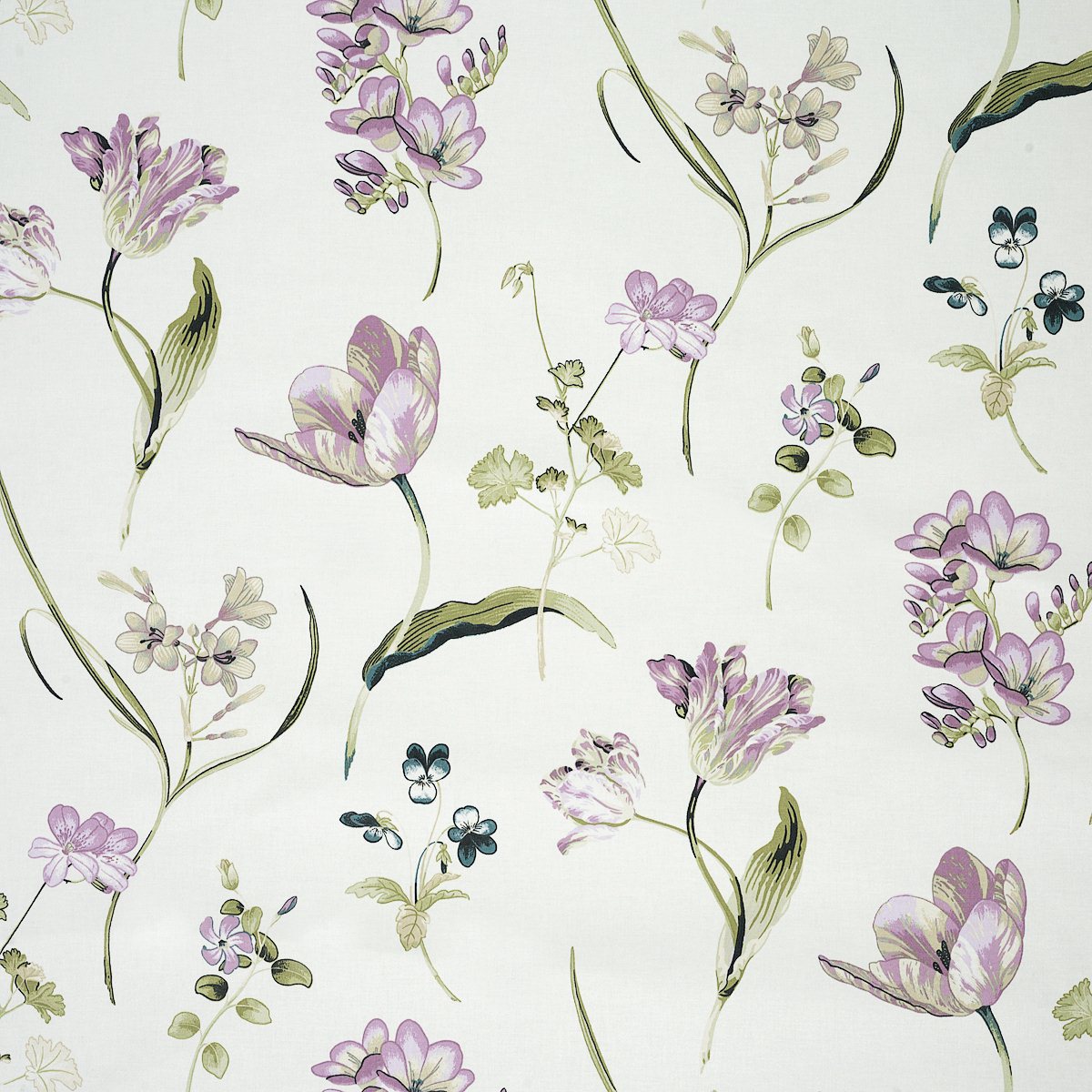 Buckingham Lavender