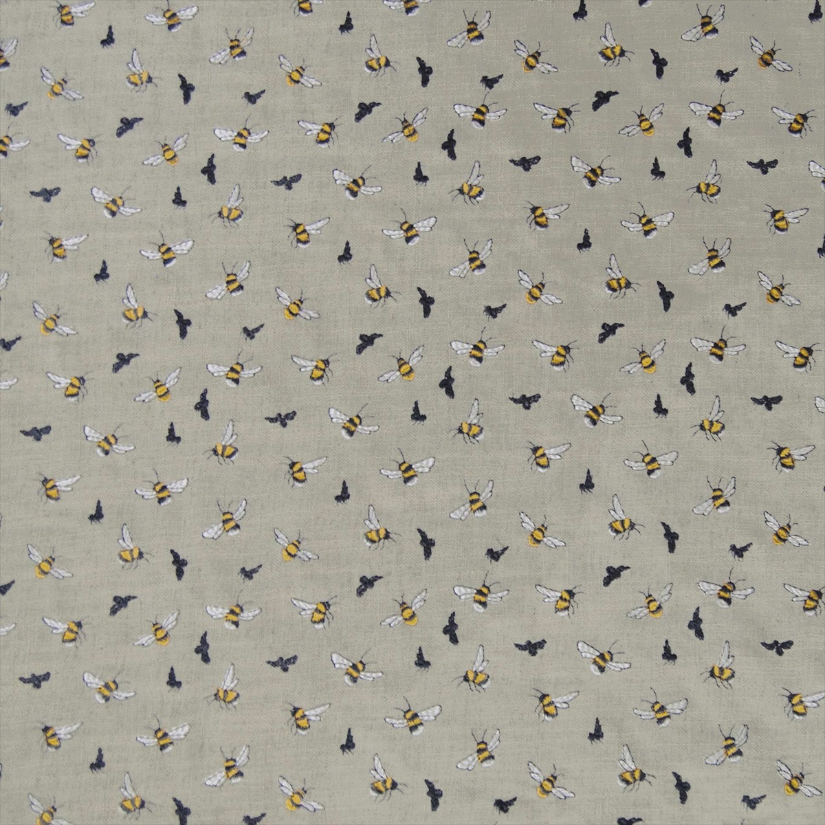 Bumble Bee Birch