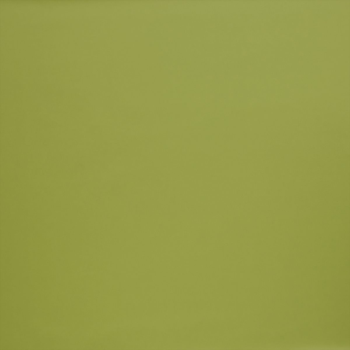 Burghley Lime