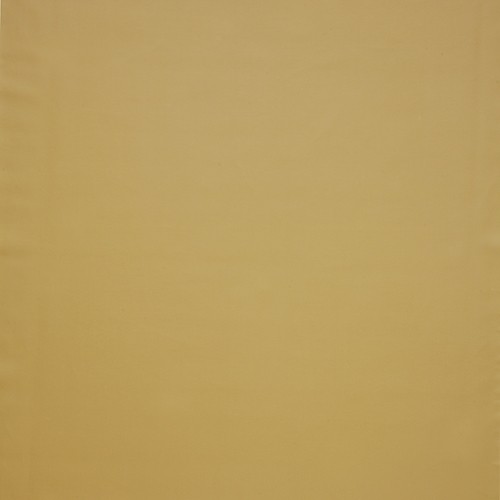 Burghley Mustard