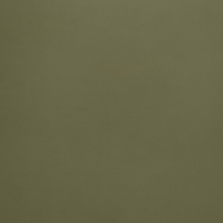 Burghley Olive