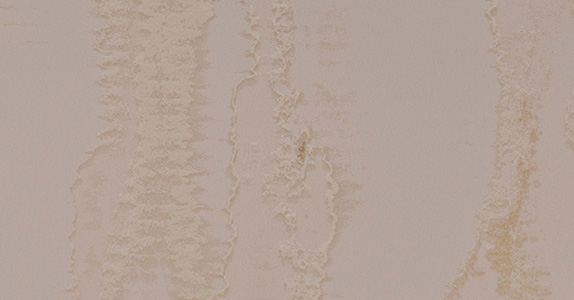 Burnish BUR-001