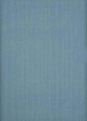 Burnish BW45011-12