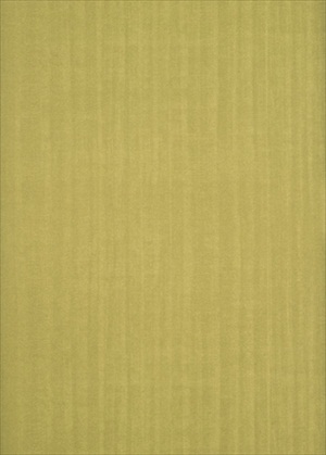 Burnish BW45011-13
