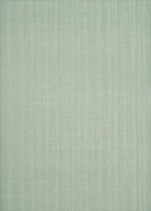 Burnish BW45011-7