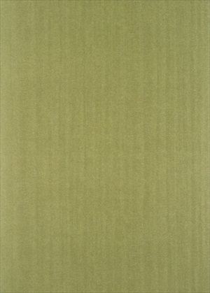 Burnish BW45011-8