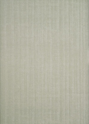 Burnish BW45011-9