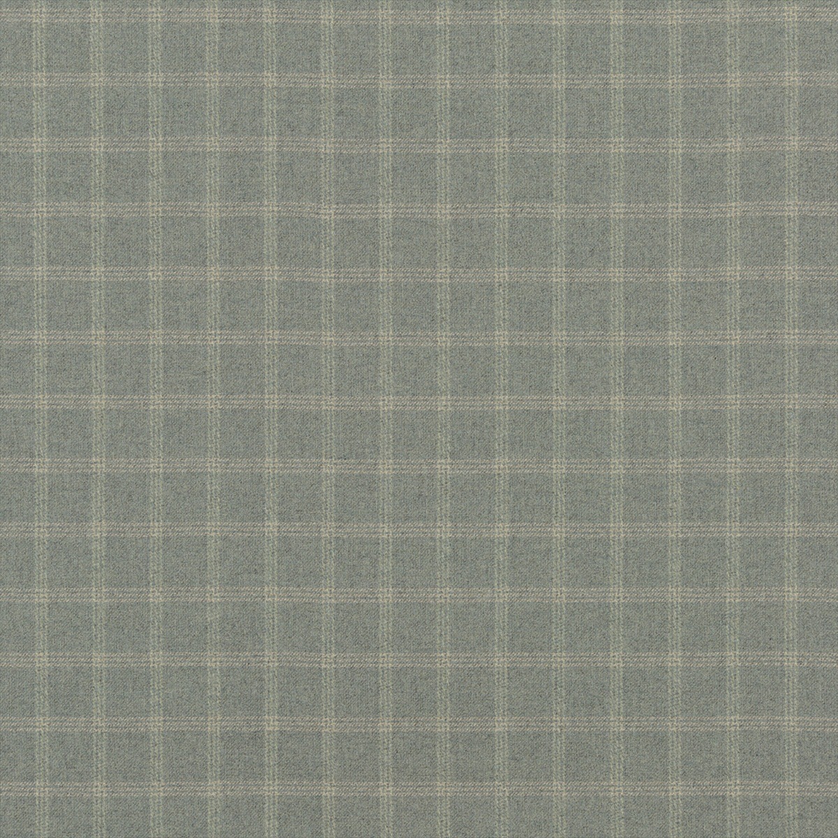 Bute Lichen FD749-S23