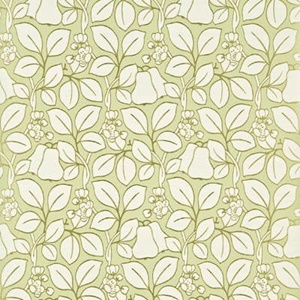Pears BW45024-2