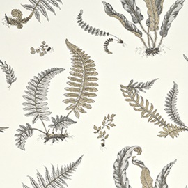 Ferns Dove Grey Silver BW45044-4