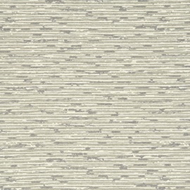 Grasscloth Silver BW45049-5
